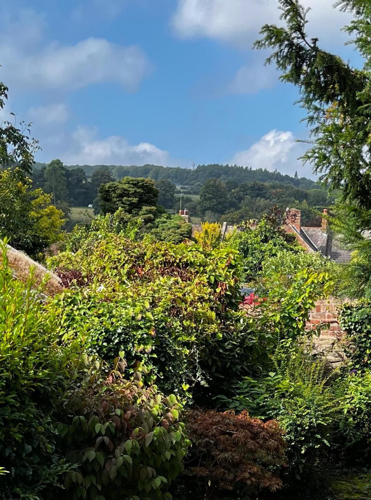 Flower Cottage By Ludlow Castle With Onsite Parking Εξωτερικό φωτογραφία