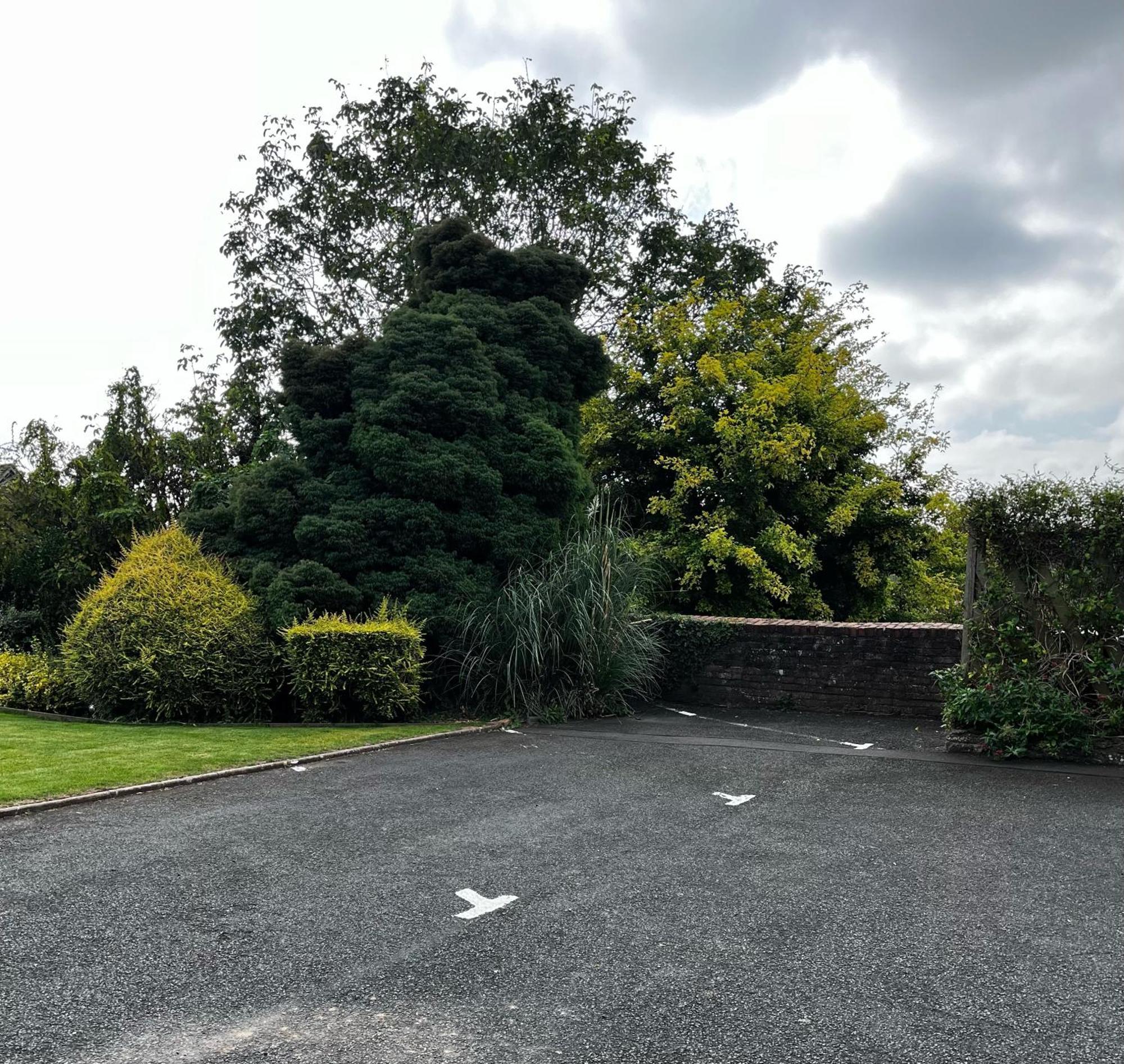 Flower Cottage By Ludlow Castle With Onsite Parking Εξωτερικό φωτογραφία